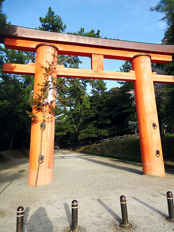 Tori de entrada do parque de Nara