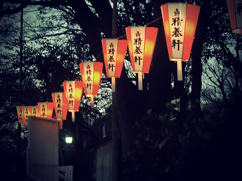 lanternas tipicas japonesas no parque