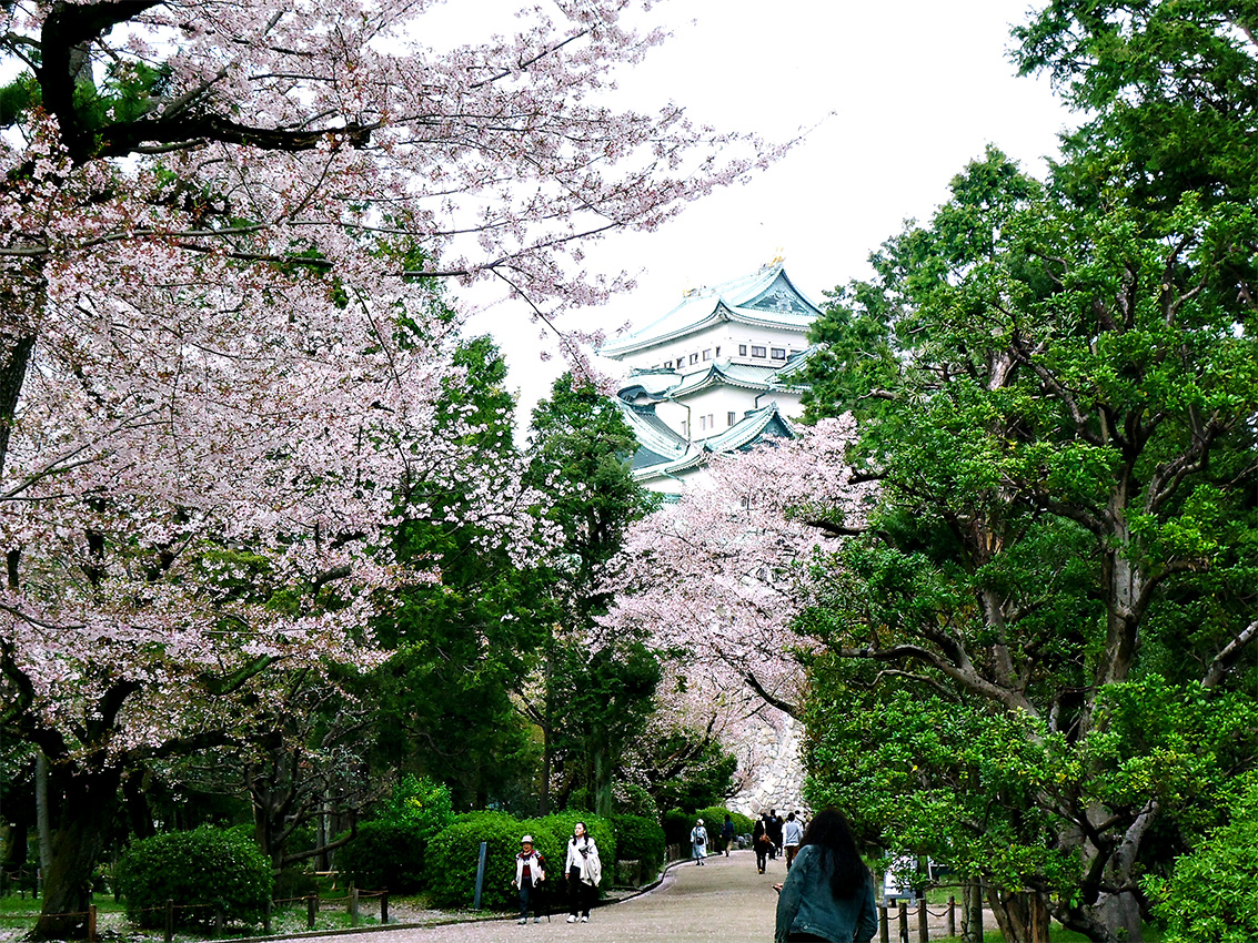 Castelo de Nagoya - 10º diário de viagem